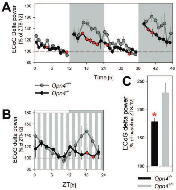 Figure 7. Time course of ECoG delta power (1–4 Hz) during NREM sleep under a standard LD 12:12 cycle, a LD 1:1 cycle, and during recovery sleep after sleep deprivation