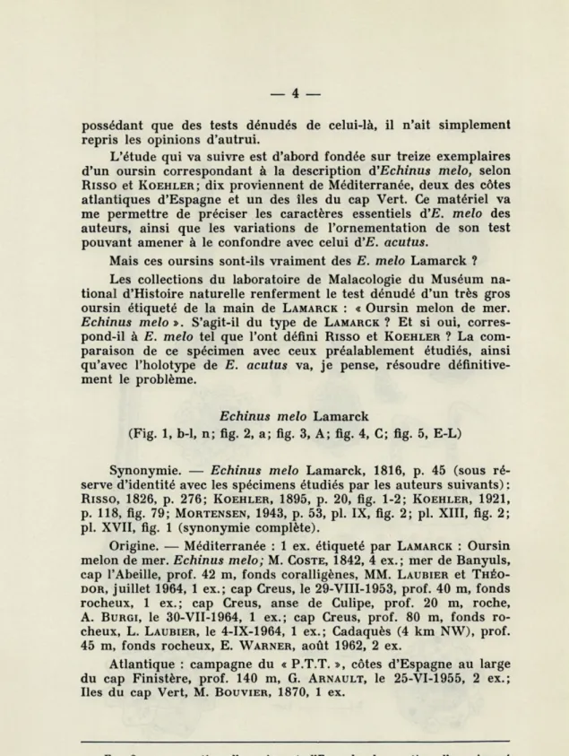 FIG.  2.   —  a  :  section  d'un  piquant  d'E.  melo;  b  :  section  d'un  piquant  d'E