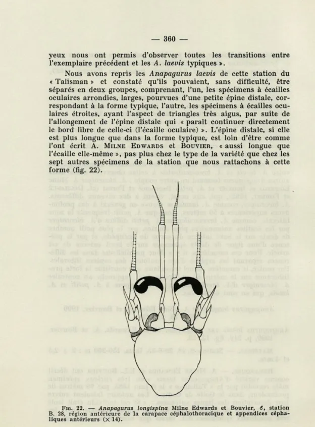 FIG.  22.  —   Anapagurus  longispina  Milne  Edwards  et  Bouvier,  6,  station  B.   28,   région  antérieure  de  la  carapace  céphalothoracique  et  appendices   cépha-liques  antérieurs  (X  14)