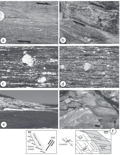 Fig. 5. Deformation characters along eastern Pelion coast with macroscopic evidence evidence of down to the NE (right) ductile shear in gneisses (a, equivalent to dated sample G7) and in marbles (b)