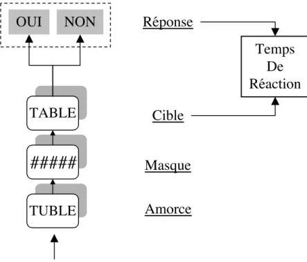 Figure        2.5.    : Schéma d'une tâche de décision lexicale incluant une procédure d'amorçage.
