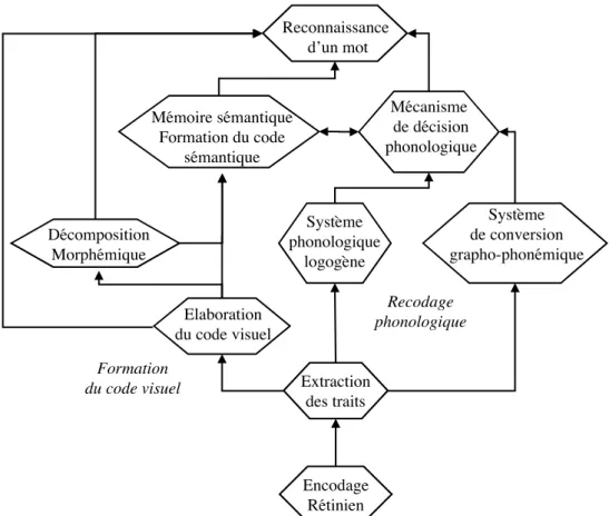 Figure        4.1.    : Diagramme schématique du système de reconnaissance des mots d'après Carr et Pollatsek (1985).