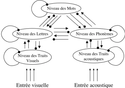 Figure        4.2.     : Représentation schématique du modèle d'activation interactive proposé par McClelland et  Ru- Ru-melhart (1981).