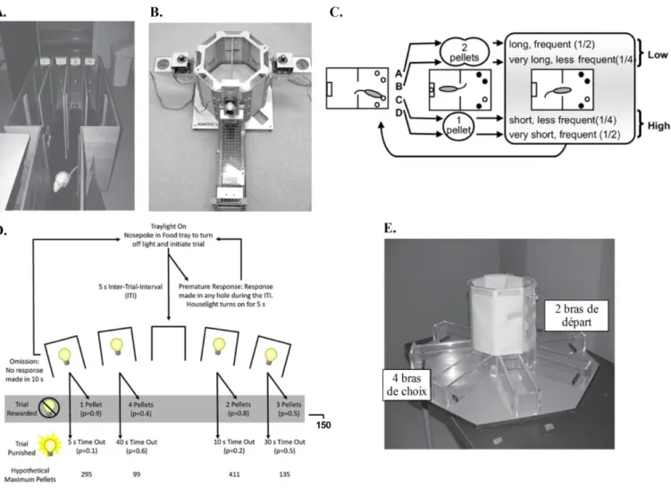 Figure 12 : A. Photographie du dispositif expérimental utilisé par Ruud Van Den Bos en 2006