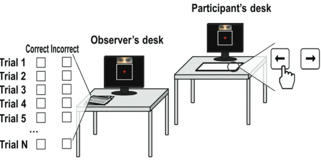 Figure 14. Set up. Two desks were installed, both with screens displaying the task. 