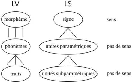 Illustration 7. Équivalences LV-LS selon la double articulation décrite par Stokoe.  