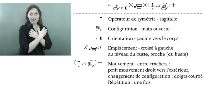 Illustration 15. Signe [BEAR] en ASL transcrit selon la notation de HamNoSys 