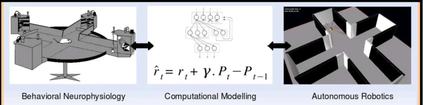 Figure 0.1: Scheme of the pluridisciplinary approach adopted in this work.