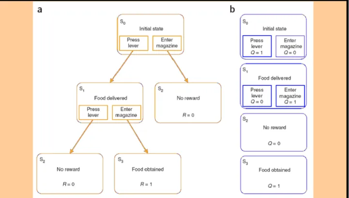 Figure 1.1.7: Example of Model-free / Model-based system. Adapted from Daw et al. (2005)