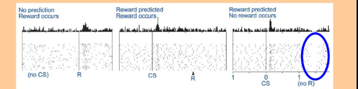 Figure 1.2.6 : Monkey dopaminergic neurons activity during three task conditions. Adapted from   (Schultz,   2001).  Black   dots   represent   action   potentials   of   measured   neurons