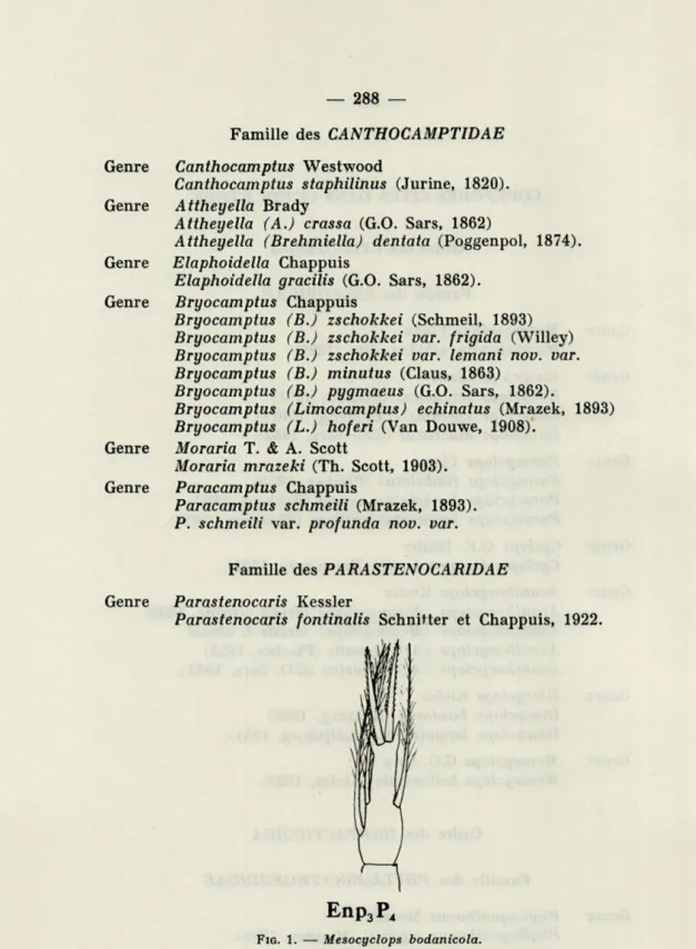 FIG.  1.   —   Mesocyclops  bodanicola. 
