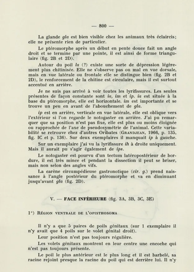 fig.  IC  et  p.   136).   Sur  deux  exemplaires  il  manquait  ip  à  gauche. 