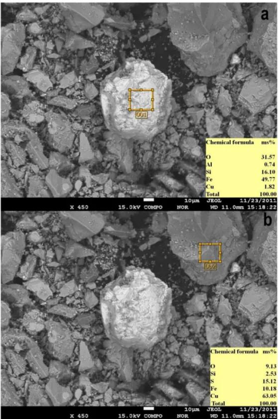 Figure 3. Association of copper in converter slag vis-à-vis the presence in (a) oxidic and (b) non-oxidic phases (ms%—mass percentage).