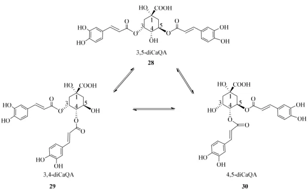 Figure 11 The migration of caffeoyl group at vicinal hydroxyl groups 