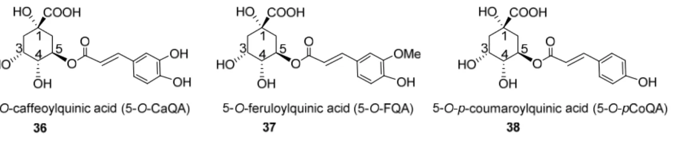 Figure 13 IUPAC and preIUPAC numbering systems for CQA taking 5-O-caffeoylquinic acid as an  example on its main conformation 