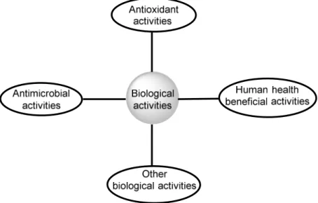 Figure 18 Scope of biological activities of CQA 