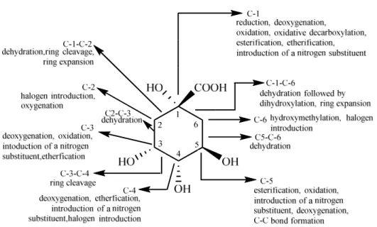 Figure 22 A summary of possible modifications in  D -(-)-quinic acid molecule 