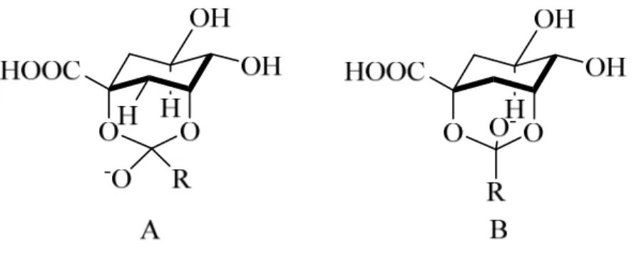 Figure 24 Structures of ortho-ester ions as intermediates in the 1↔3 migration 