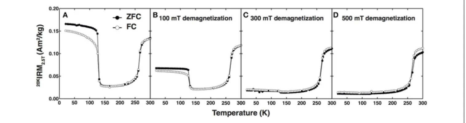 FIGURE 6 | (A) ZFC and FC warming curves of a commercially available hematite purchased from The Nature Company, which also contains magnetite