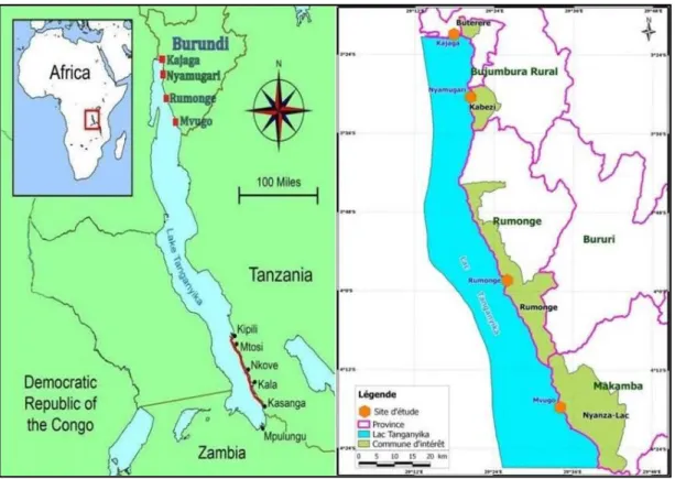 Figure 11: Maps showing the study areas and sampling stations location 