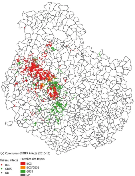 Figure 12 : Localisation du parcellaire des cheptels infectés par la tuberculose bovine entre 2010 et 2015 et spoligotypes  incriminés (Source CIREV) 