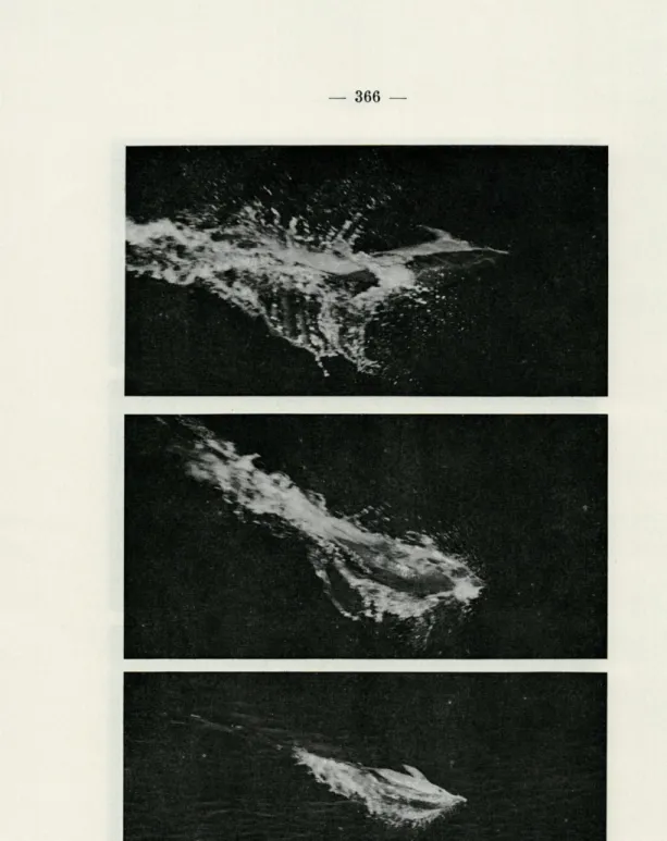 FIG.   2.  —  Petit  bond  chez  un  Delphinus  delphis. 