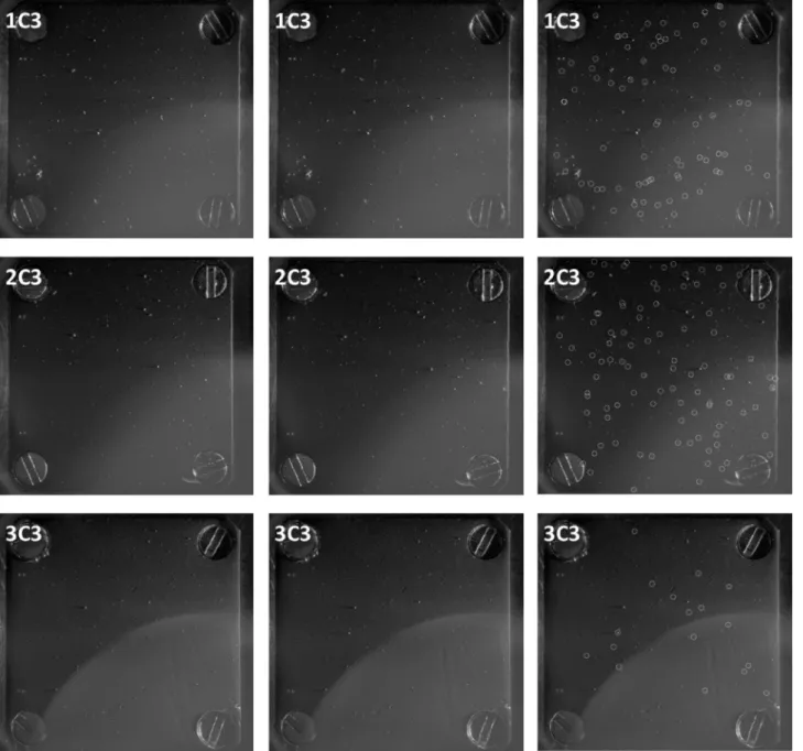Figure 7. COSISCOPE optical microscope images of targets. Left column: before the exposure period of 2016 July 01–07