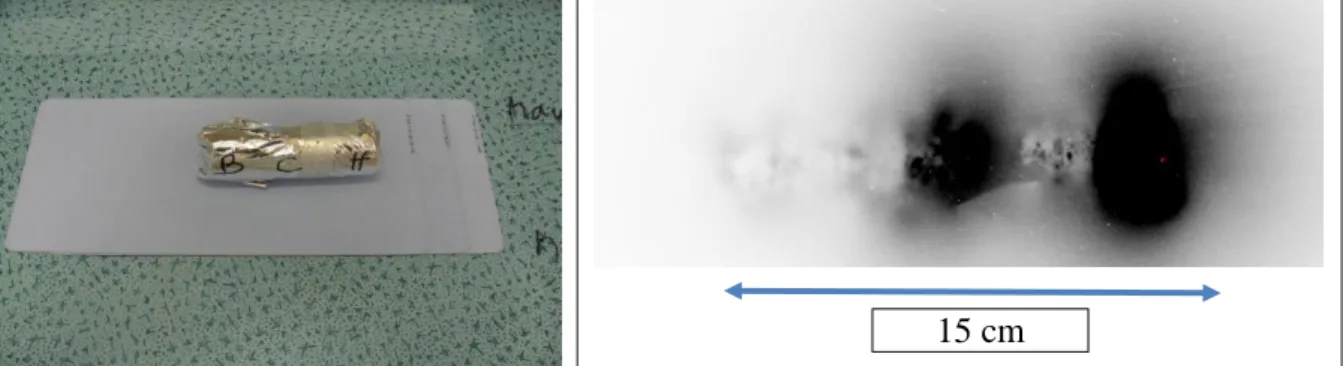 Figure 10: Contamination in depth obtained after investigation by autoradiography technique on a con- con-crete core