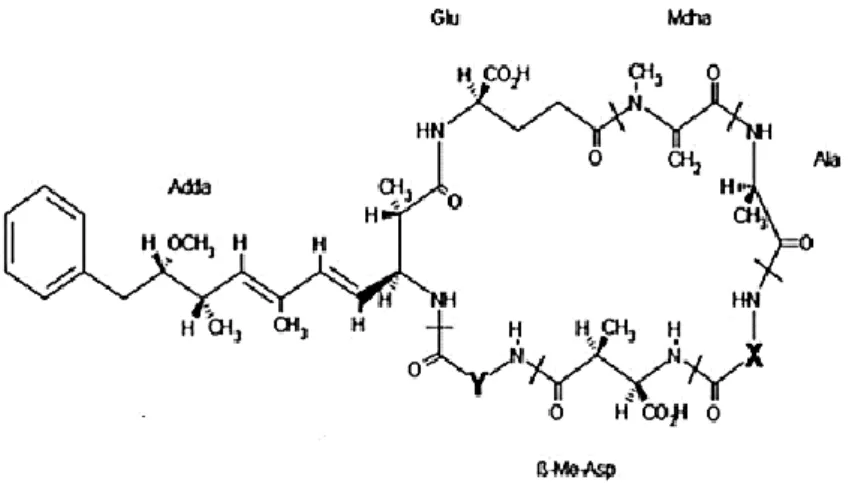 Figure I- 2: Structure des microcystines et de ses variants. Source : Singh et al., 2012