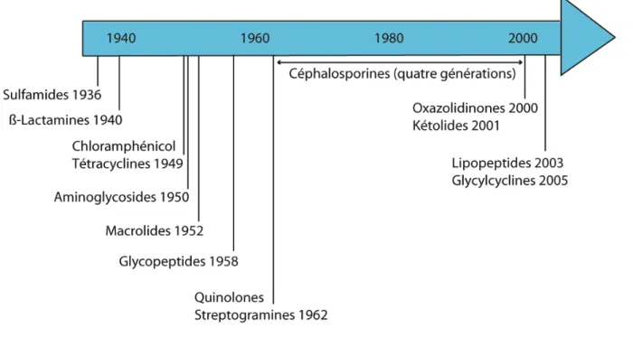 Figure 1 : Ordre chronologique de l’apparition des différentes classes d’antibiotiques en  usage clinique