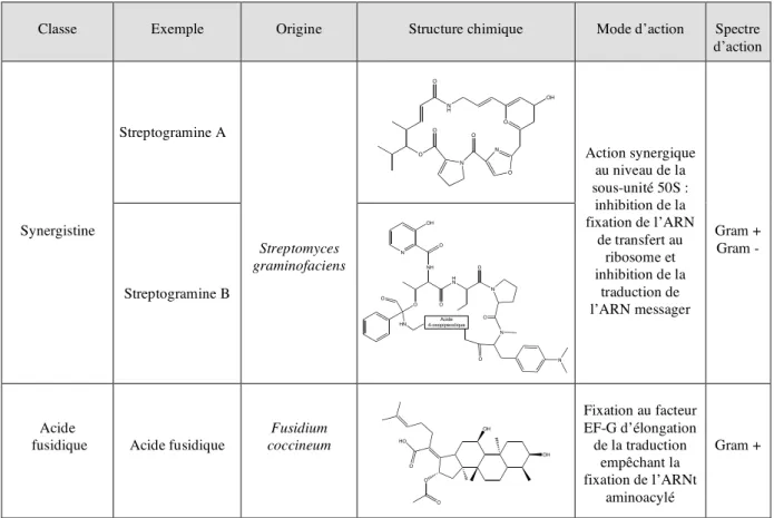 Tableau 2 (suite) : Les différentes classes d’antibiotiques interférant avec la synthèse des  protéines 