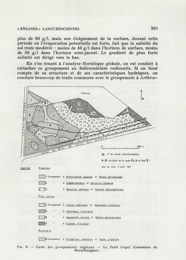 FIG.   9.  —  Carte  des  groupements  végétaux  —  Le  Petit  Cogul  (Commune  de  Marsillargues)