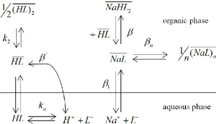 Figure 2. Equilibria included in the physicochemical  model. 