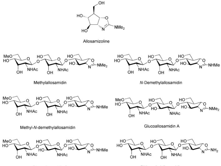 Figure 6 : Structure des dérivés de l’allosamidine (Andersen et al., 2005) 