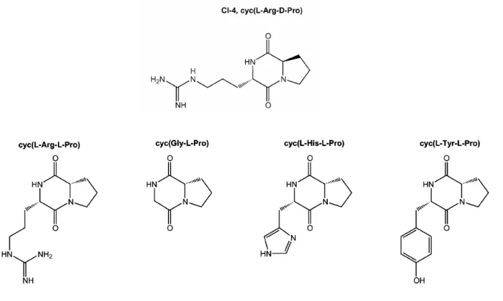 Figure 9 : Structure des dipeptides cycliques (Houton et al., 2004) 