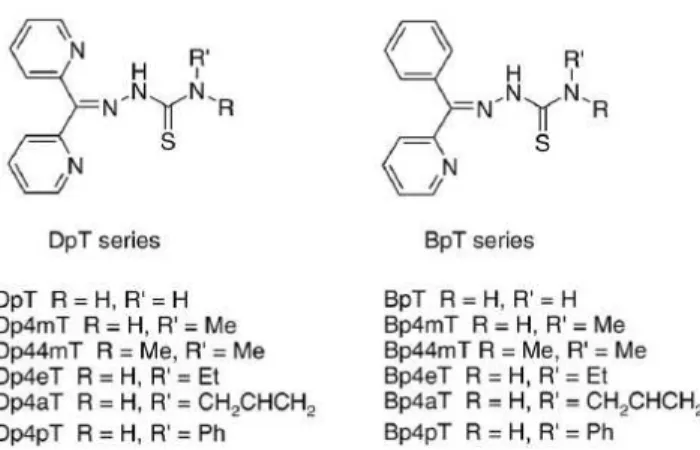 Figure 20 : structure chimique des chélateurs de la série DpT et BpT (D.R. Richardson, Biochimica et  Biophysica Acta 2009)