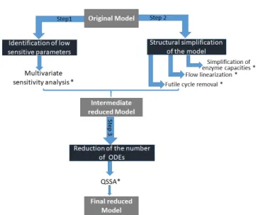 Fig. 1. Schema of Model Reduction. (*) The tested reduc- reduc-tion is accepted or rejected based on two comparison criteria (∆ AIC = AIC reduced model −AIC original model
