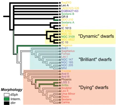 Fig. 1. Cladogram for the Dwarf Galaxies of the Local Group. Three evolutionary groups are identified on the tree and characterized from their properties.