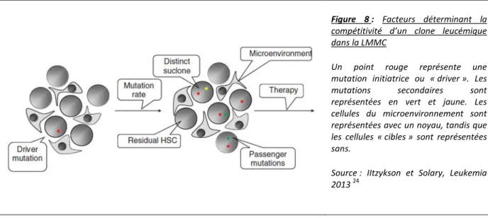 Figure  8 :  Facteurs  déterminant  la  compétitivité  d’un  clone  leucémique  dans la LMMC 