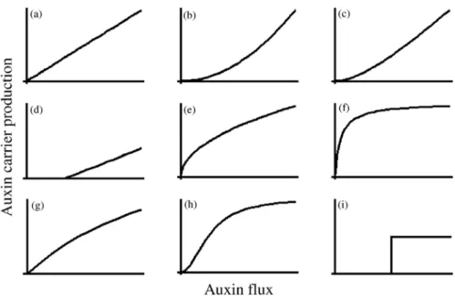 Fig. 1. Different protein production response according to the auxin flux. (a) Linear function, (b)  square function, (c) curvilinear function, (d) shifted linear function, (e) square root function, (f) saturating  function, (g) divergent ‘‘S’’ function, (