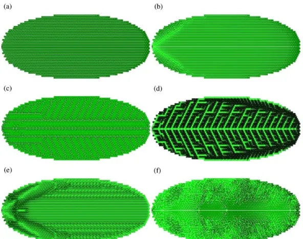 Fig. 3. Results of the numerical analysis. The number of cells in the lattice is 2912