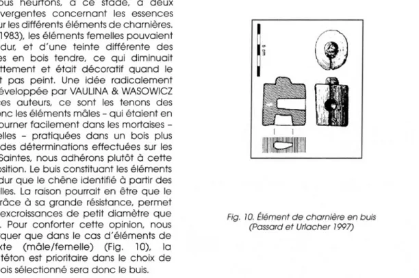 Fig.  10.  Élément d e  charnière en buis  (Passard e t Urlacher  1997)