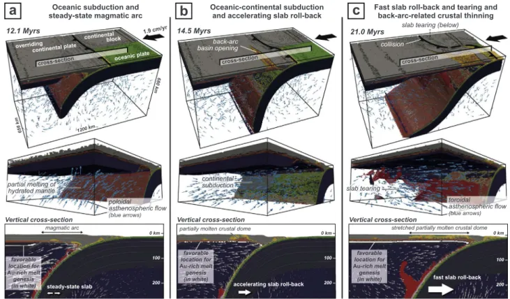 Fig. 6. Results from 3D thermo-mechanical modeling of complex subduction zone characterized by oceanic and continental subduction, slab roll-back and tearing (for details on the modeling procedure and evolution of the model, the reader is referred to Menan