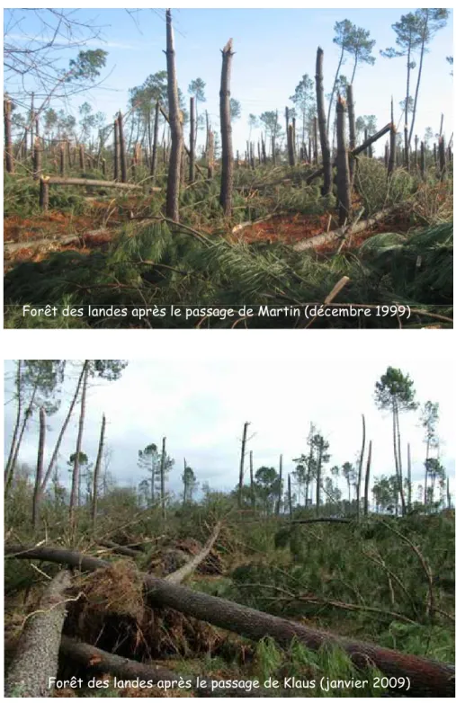 Figure I.12. Effets des tempêtes Martin (1999) et Klauss (2009) sur la forêt des landes