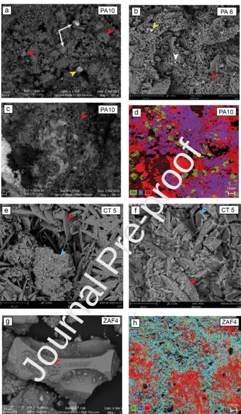Figure  2:  SEM  images  of  black  crusts  from  Palermo  (PA-6  and  PA-10)  and  the  Etnean  area  (CT-5  and  ZAF4)