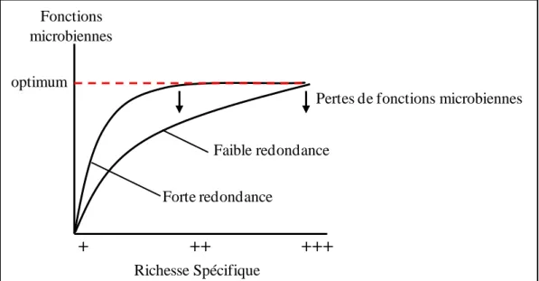 Figure  0.5  La  redondance  fonctionnelle  microbienne  (D’après  Gamfeldt  et  al  2008)