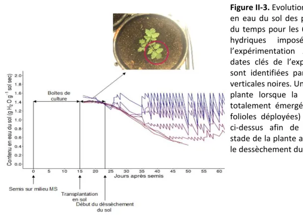 Figure II-3. Evolution de la teneur  en  eau  du  sol  des  pots  au  cours  du  temps  pour  les  6  traitements  hydriques  imposés  lors  de  l’expérimentation  A