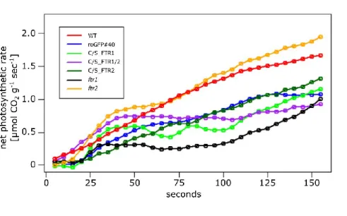 Figure  13|  CO 2   fixation  capacity  of  FTR  mutant  lines  (roGFP#40;  C/S_FTR1#21; 