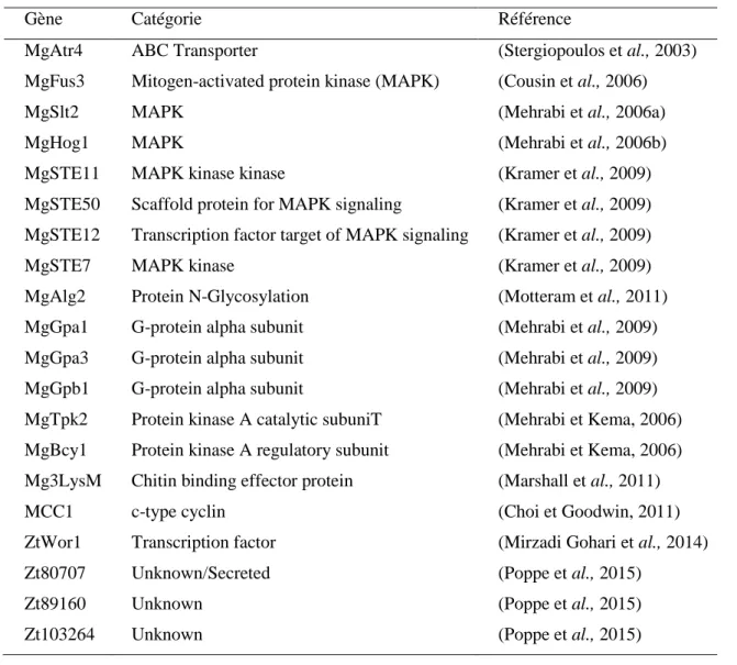 Tableau 1. Principaux gènes de virulence de Z. tritici (Mirzadi Gohari, 2015, adapté de Rudd, 2015) 