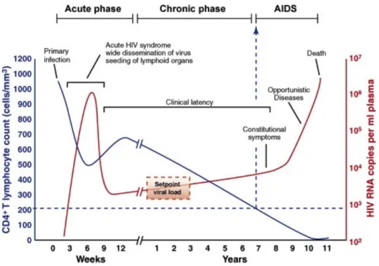 Figure 2: Typical course of HIV progression.  An and Winkler, Trends in Genetics, 2010 